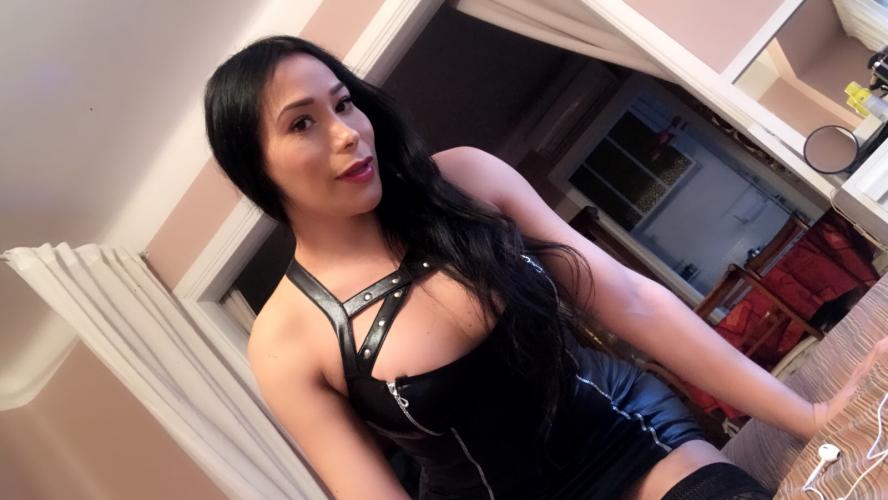 Tampa Pornstars