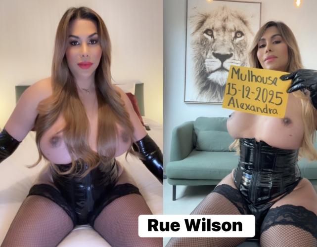 ♥️20cm reel, para principiantes - mulhouse - rue wilson - Escort Mulhouse
