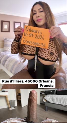 ♥️20cm reel, pour les débutants - centre-ville - Escort Orleans