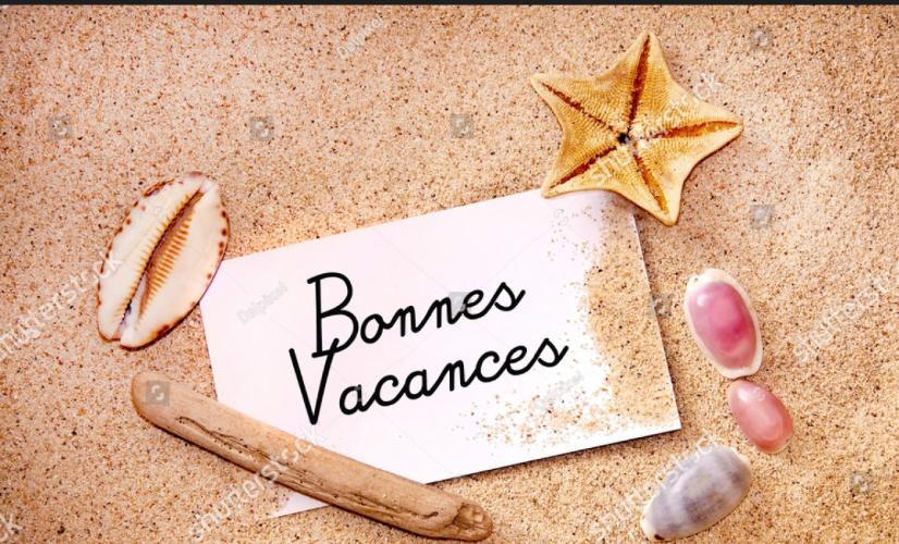 Izadora ribeiro 20 cm actif passif massage bisous - Escort Toulouse