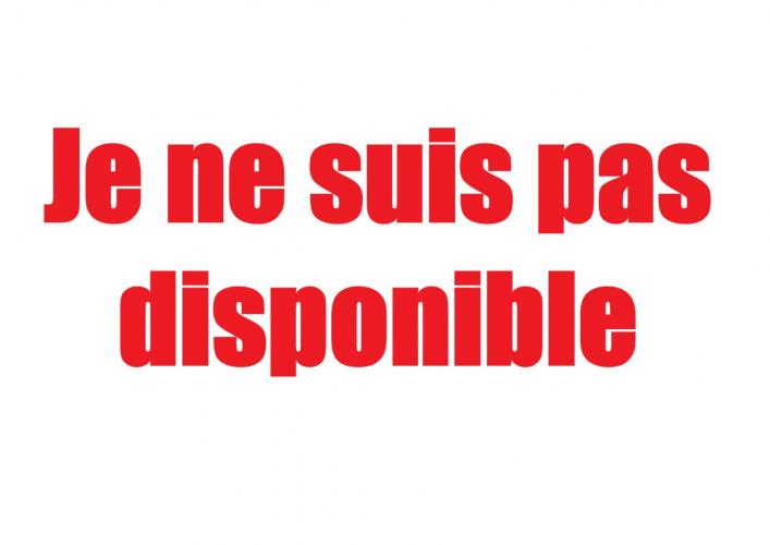 >Je ne suis pas disponible - Escort Bordeaux