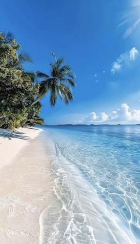 Vacances pour l’instant - Escort Orange