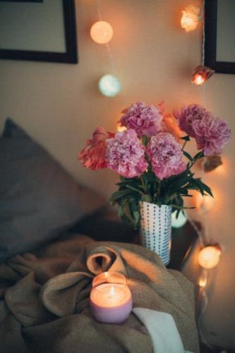 Massage à la plume, tantrique ou érotique pour femme uniquement - Escort Nimes
